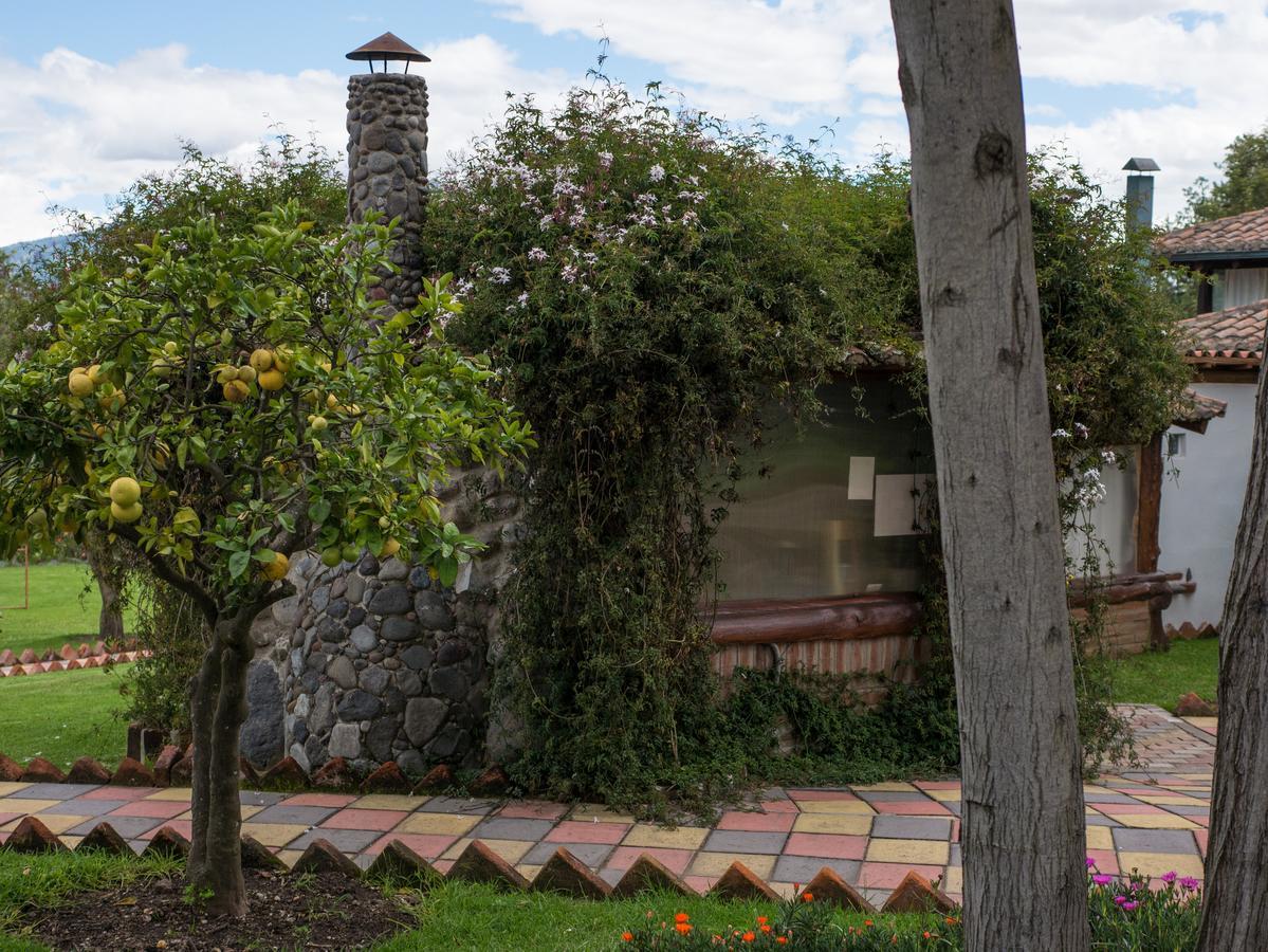 Zaysant Ecolodge Puembo Εξωτερικό φωτογραφία